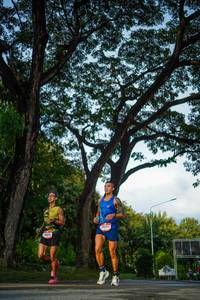 BIB: 
                            <button type="button" onclick="openModal(26551062)" class="btn btn-primary btn-sm float-right btn-popup" data-toggle="modal" data-target=".modal-high-quality">
                        <i class="fas fa-shopping-cart"></i> Add to Cart
                    </button>
                                            <button type="button" onclick="isThisMe(26551062, true)" class="btn btn-success btn-sm float-right btn-popup btn-isme hidden" data-toggle="tooltip" data-placement="bottom" title="นี่คือรูปของคุณใช่ไหม คลิกที่นี่เพื่อเอาเข้าอัลบั้ม">
                        <i class="fas fa-plus"></i> Add to album
                    </button>
                    <button type="button" onclick="isThisMe(26551062, false)" class="btn btn-warning btn-sm float-right btn-popup btn-isnotme hidden">
                        <i class="fas fa-ban"></i> Remove from album
                    </button>